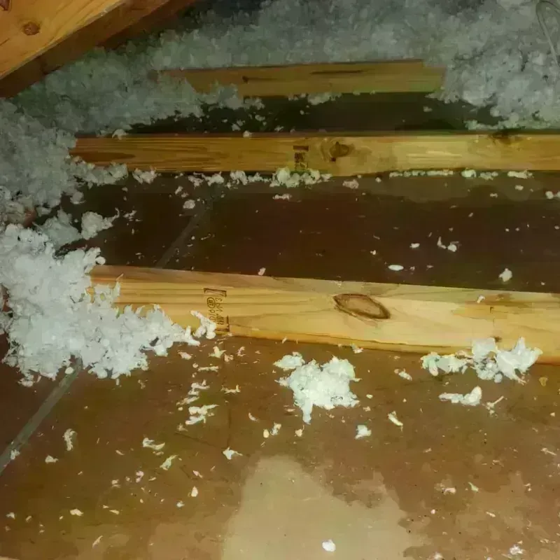 Attic Water Damage in Lake County, OH