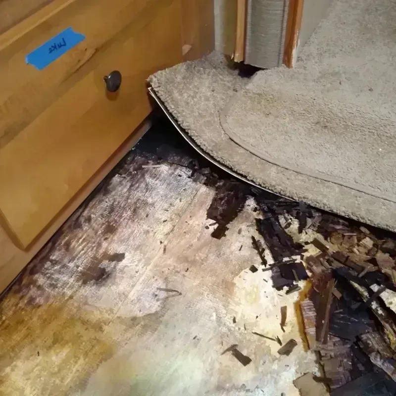 Wood Floor Water Damage in Lake County, OH